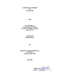 Ecoflash analysis mudtech